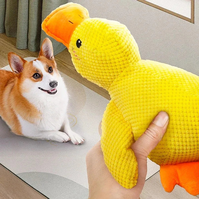 1pc grote eend ontwerp huisdier tandenknarsen piepende knuffel, duurzaam kauwspeeltje voor hond interactieve suppl kopen vanaf een prijs van 5.95 1pc grote eend ontwerp huisdier tandenknarsen piepende knuffel, duurzaam kauwspeeltje voor hond interactieve suppl kopen vanaf een prijs van 5.95