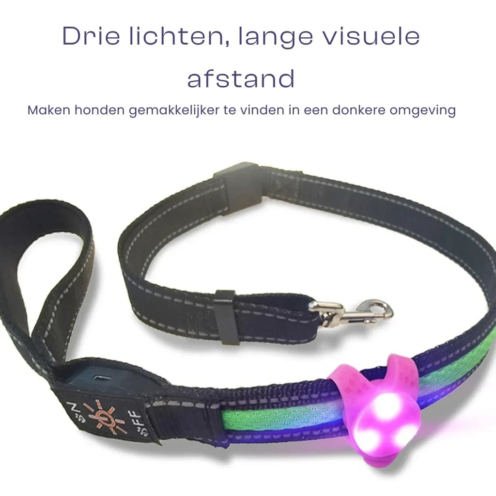 LED Silicone Knipperhanger Voor Huisdieren Verhoogde Zichtbaarheid Waterdicht Duurzaam Meerdere Knippermodi Voor Nachtveiligheid - Ruffy