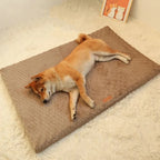 Orthopedisch Hondenkussen Met Wasbare hoes - Ruffy