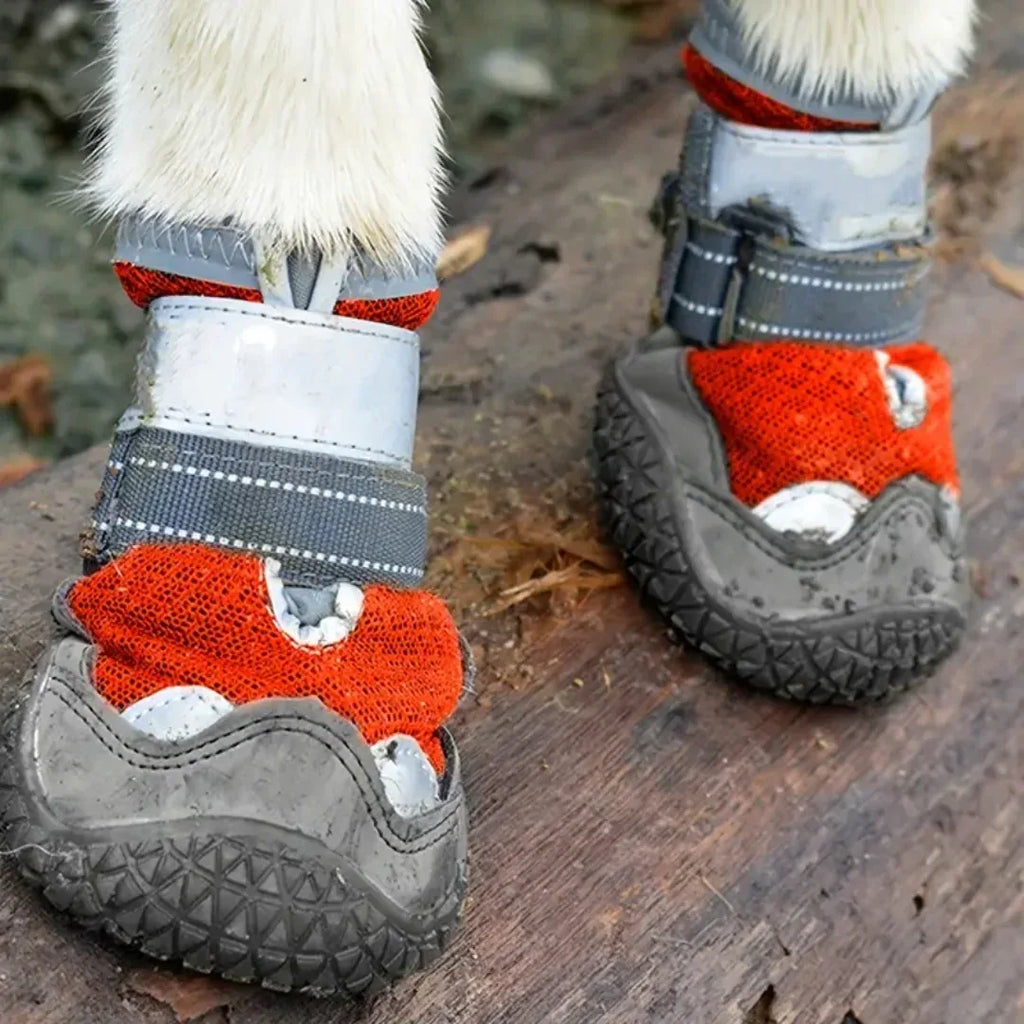 Hondenlaarzen | Waterdichte Rubberen Zool | Anti-Slip Bescherming - Ruffy