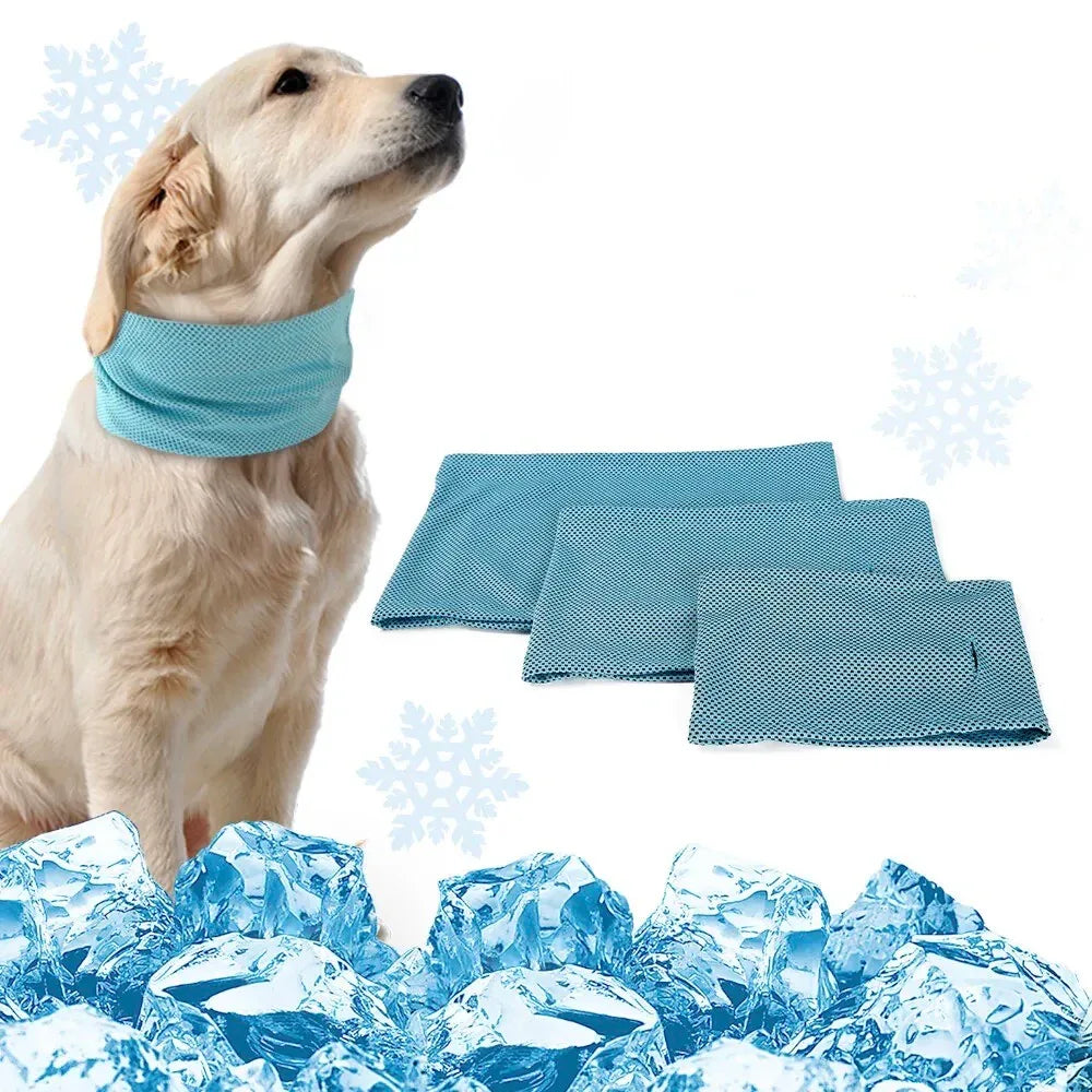 2 Stuks Halsband Voor Honden Geruite Deken Sjaal Driehoekige Huisdierensjaal Puppy-bandana's Voor Kleine Honden Halsbanden Voor Honden Van Grote Rassen Kat Bandana Kleding Hond Kat 2 Stuks Halsband Voor Honden Geruite Deken Sjaal Driehoekige Huisdierensjaal Puppy-bandana's Voor Kleine Honden Halsbanden Voor Honden Van Grote Rassen Kat Bandana Kleding Hond Kat