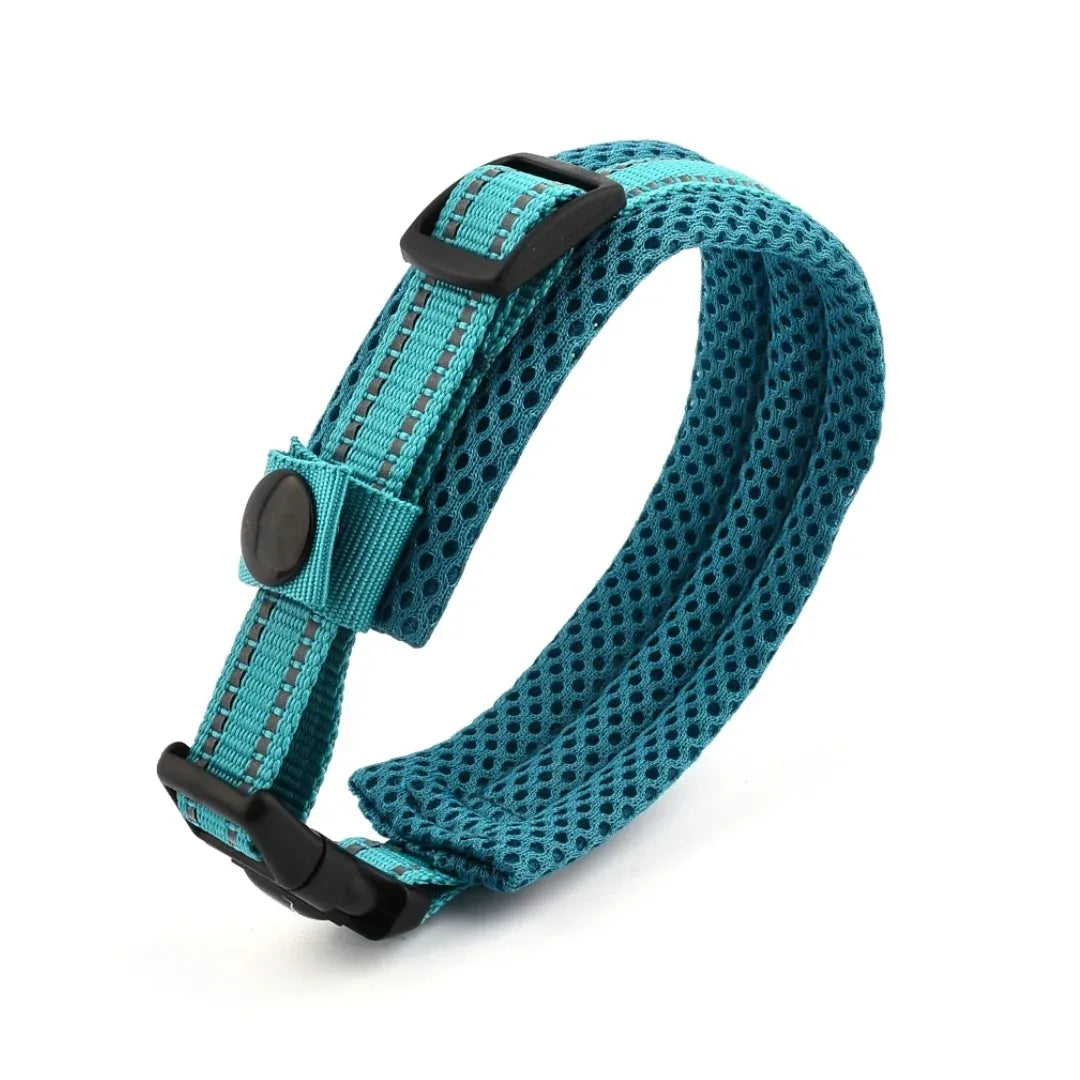 Verstelbare Gevoerde Reflecterende Nylon Hondenhalsband Comfortabel Duurzaam Veilig Voor Training en Wandelingen - Ruffy
