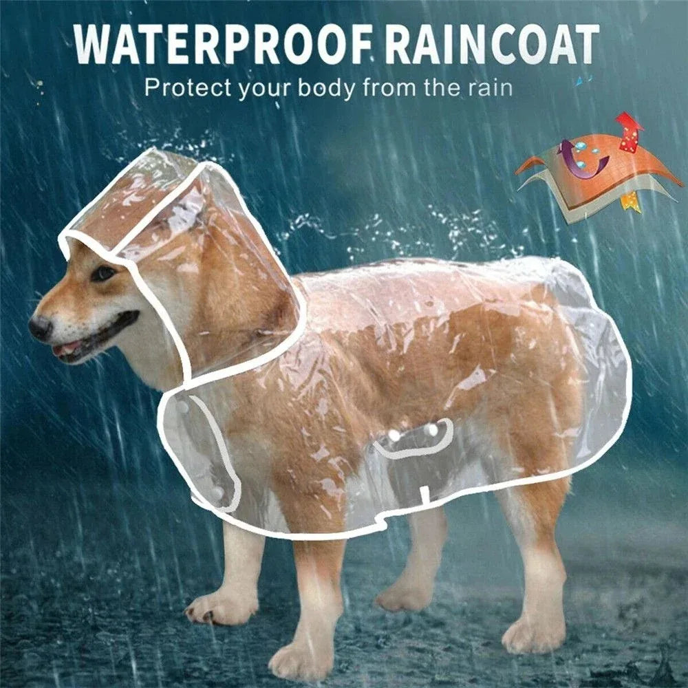 Transparante Regenjas voor Kleine Honden Waterdichte Poncho Duurzaam en Stijlvol - Ruffy