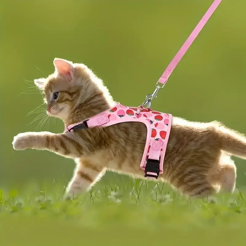 Harnas Kraag Escape Proof Tuig En Leiband Set Ademend Kitten Puppy Kleine Honden Borst Vest Geen Pull - Ruffy