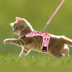 Harnas Kraag Escape Proof Tuig En Leiband Set Ademend Kitten Puppy Kleine Honden Borst Vest Geen Pull - Ruffy