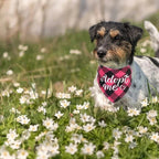 Aangepaste Geruite Hondenbandana - Ruffy