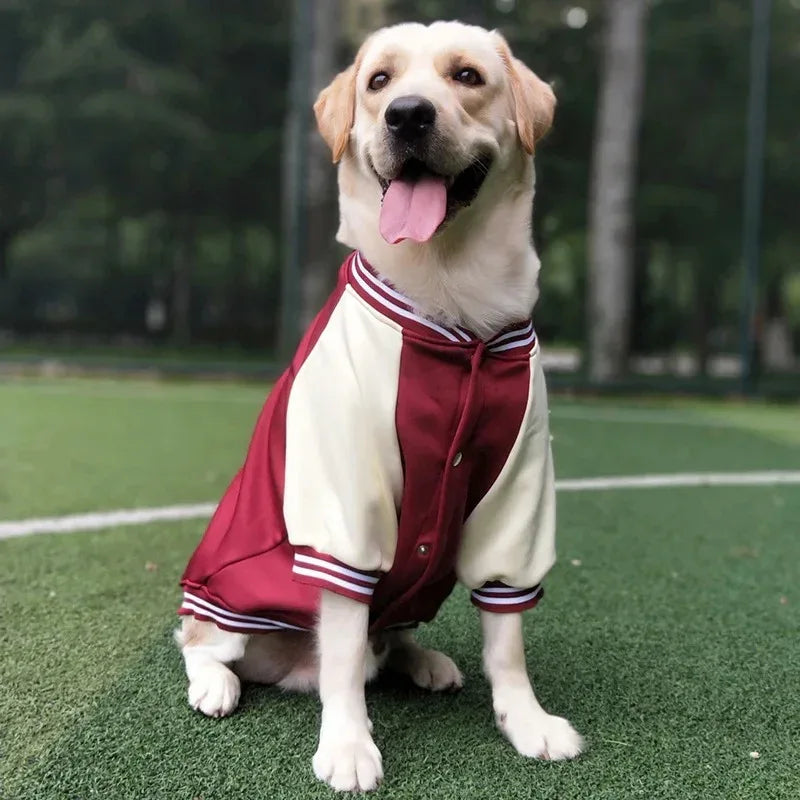 Winterjas Voor Honden Warm Waterbestendig Stijlvol Baseballjack Reflecterend Verstelbaar - Ruffy