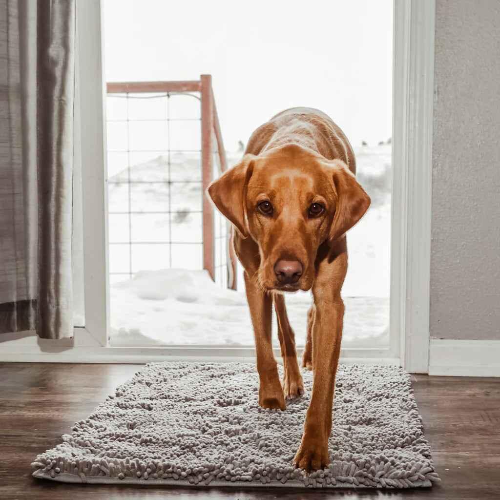 Hondenpootmat | Super Absorberend Microvezel | Antislip Onderkant (1+1 GRATIS) - Ruffy