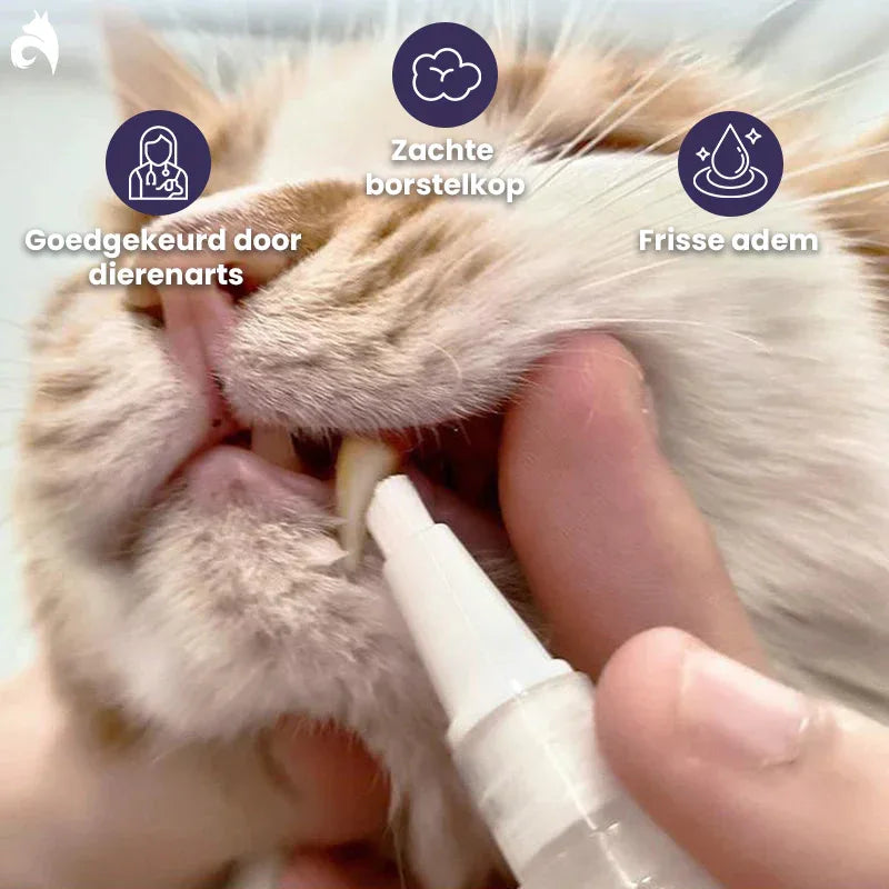Pet Smile Tandverzorgingspen Voor Huisdieren - Ruffy