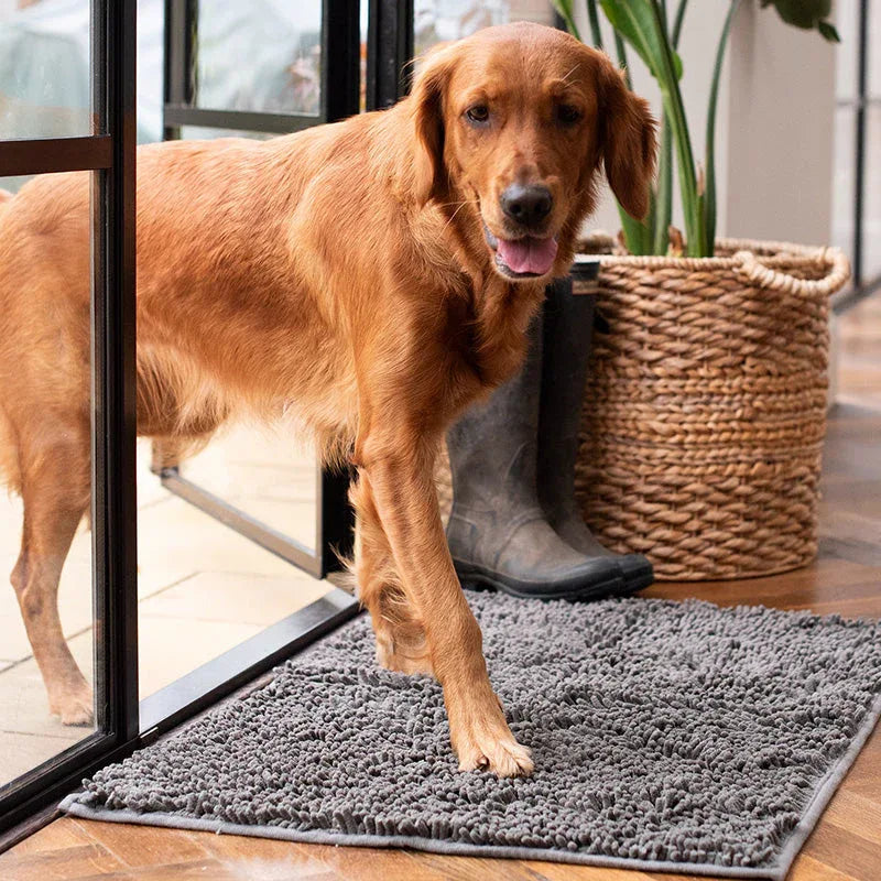 Hondenpootmat | Super Absorberend Microvezel | Antislip Onderkant (1+1 GRATIS) - Ruffy