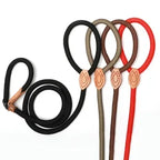 2-in-1 Training Hondenslipriem P-vormig Duurzaam Veelzijdig Precieze Controle Nylon 150cm - Ruffy