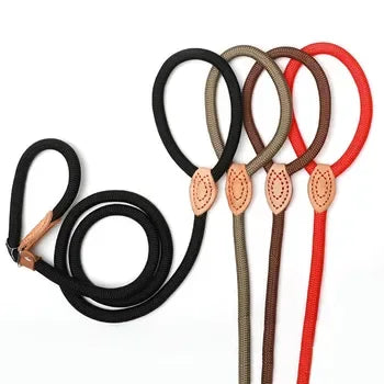 2-in-1 Training Hondenslipriem P-vormig Duurzaam Veelzijdig Precieze Controle Nylon 150cm - Ruffy