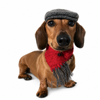 Ruffy Gentleman-set van hondenmuts en -sjaal