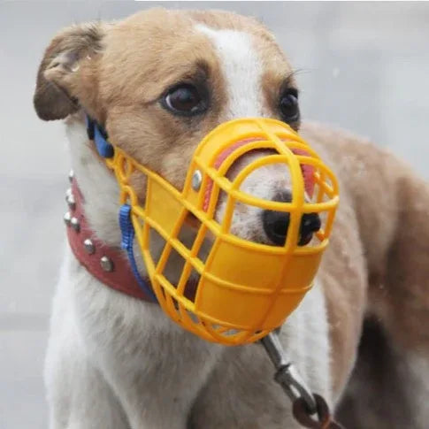Honden muilkorf met kleur - Ruffy