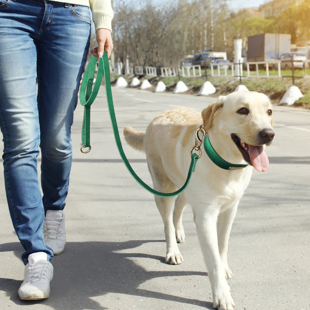 Halsband Leiband Set Op Maat - Ruffy