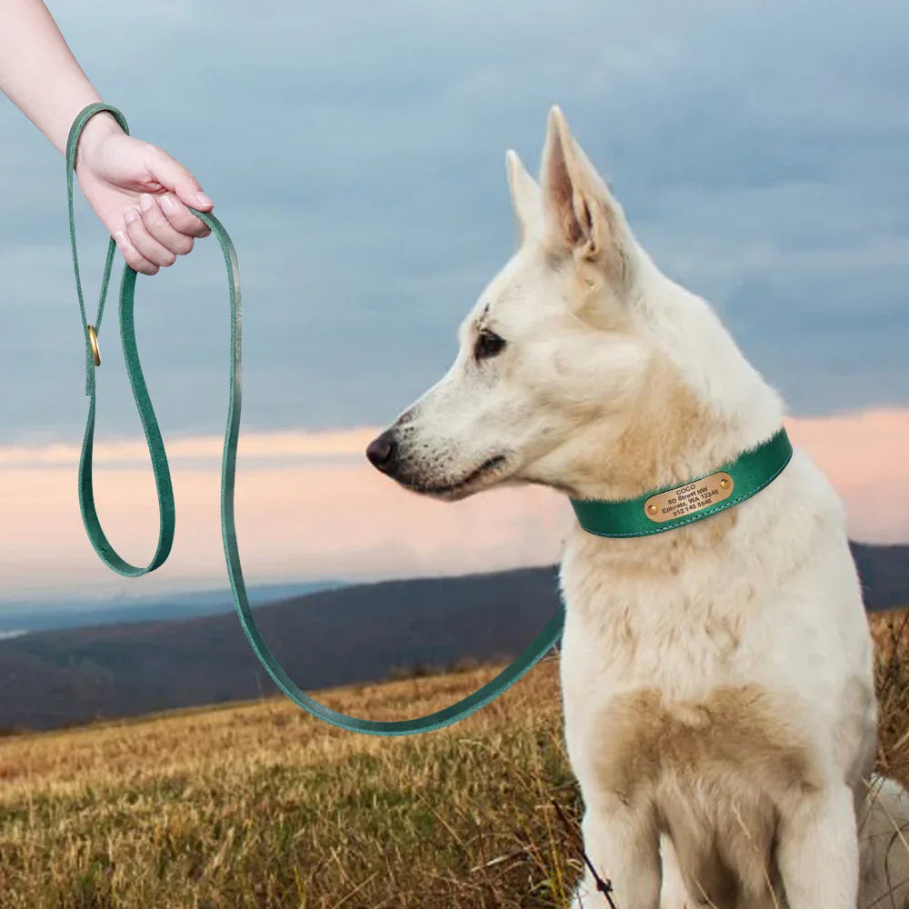 Halsband Leiband Set Op Maat - Ruffy