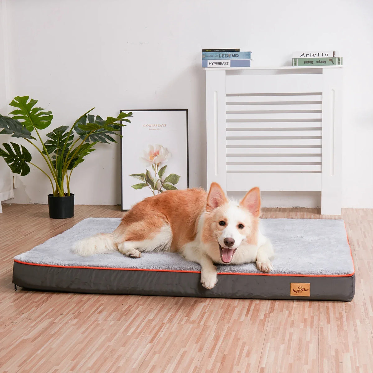 Orthopedisch waterdicht hondenbed met wasbare hoes en antislipbodem - Ruffy