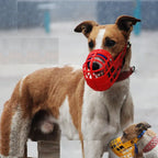 Honden muilkorf met kleur - Ruffy