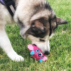 Hond Speelgoed Monster Interactief - Ruffy