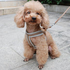Reflecterend Ademend Mesh Harnas Voor Kleine Honden Veiligheid Comfort Verstelbaar Nylon Zinken Legering Haak - Ruffy
