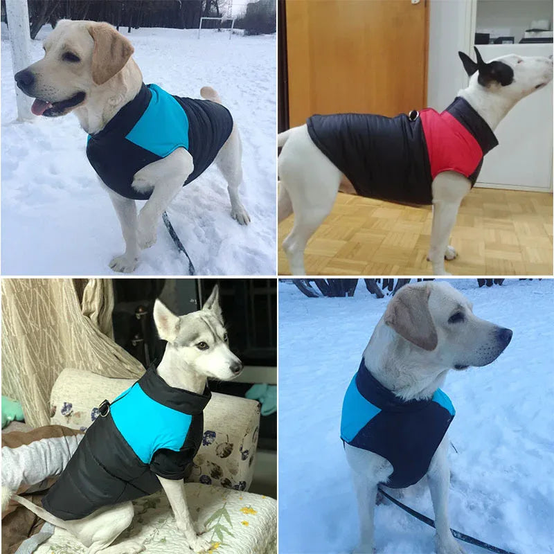 Hondenjas Warm Gewatteerd Waterdicht - Ruffy