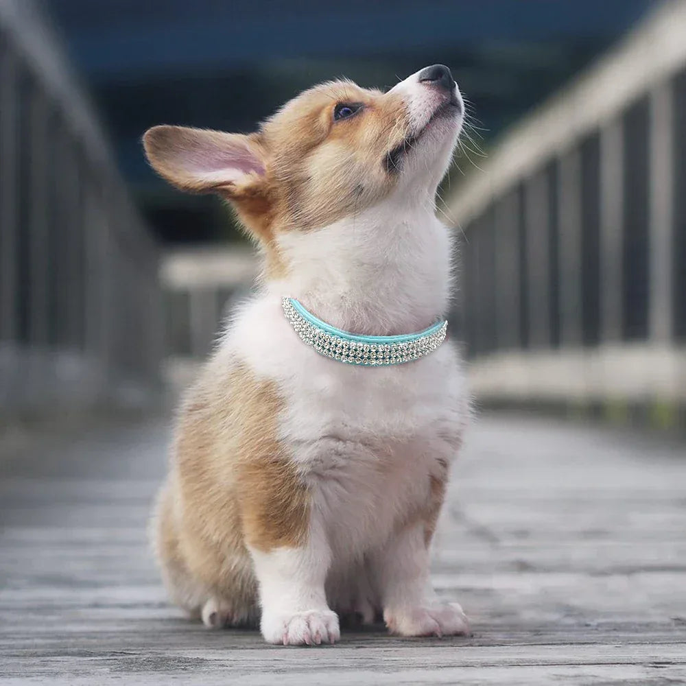 Strass Suède Kleine Honden Halsband - Ruffy