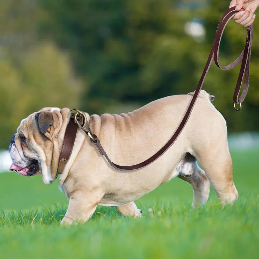 Halsband Leiband Set Op Maat - Ruffy