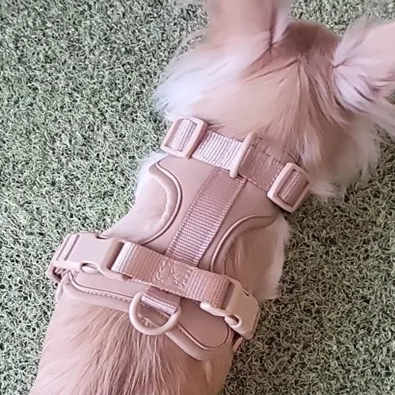Hondenriem en Tuig Set Licht Roze Dubbele Pvc Leiband - Ruffy