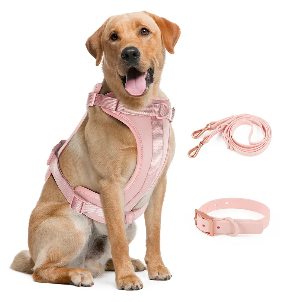 Hondenriem en Tuig Set Licht Roze Dubbele Pvc Leiband - Ruffy