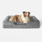 Orthopedisch Hondenkussen | Memory Foam Ondersteuning | Antislip Bodem & Wasbare Hoes - Ruffy