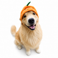 Ruffy Pompoen-puppyhoed