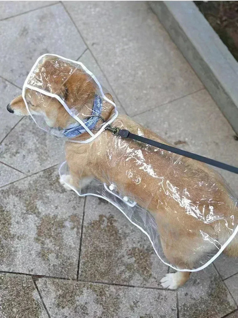 Duurzame waterdichte hondenregenjas Comfortabel PU- en EVA-ontwerp in blauw-wit voor kleine middelgrote honden - Ruffy