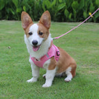 Corduroy Ademend Honden Tuig Reflecterend Ergonomisch - Ruffy