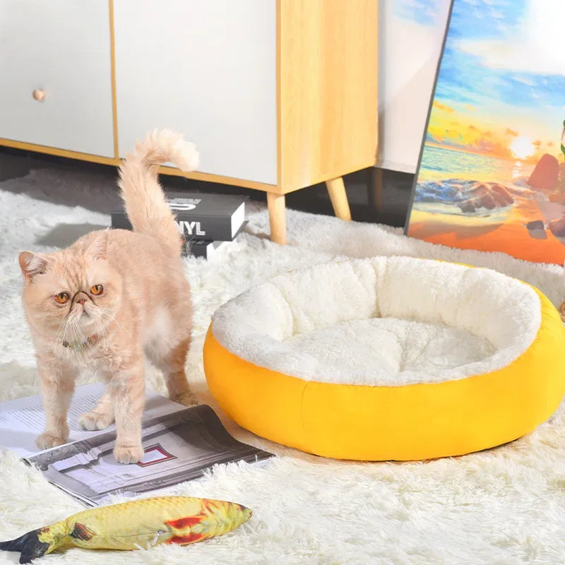 Gezellig lamsfluwelen huisdierbed Zacht pluche ontwerp Machinewasbaar in 40 cm en 50 cm voor kleine honden en katten - Ruffy