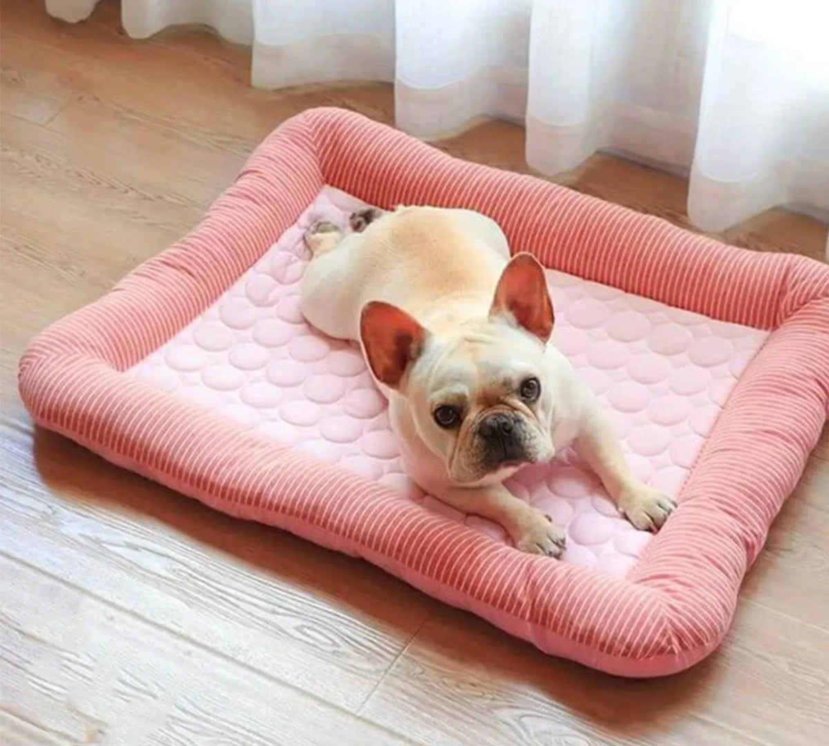 Duurzaam Koel Bed voor Gezelschapsdieren met Geavanceerde Koelingstechnologie Antislip Basis Machine Wasbaar in Meerdere Maten - Ruffy