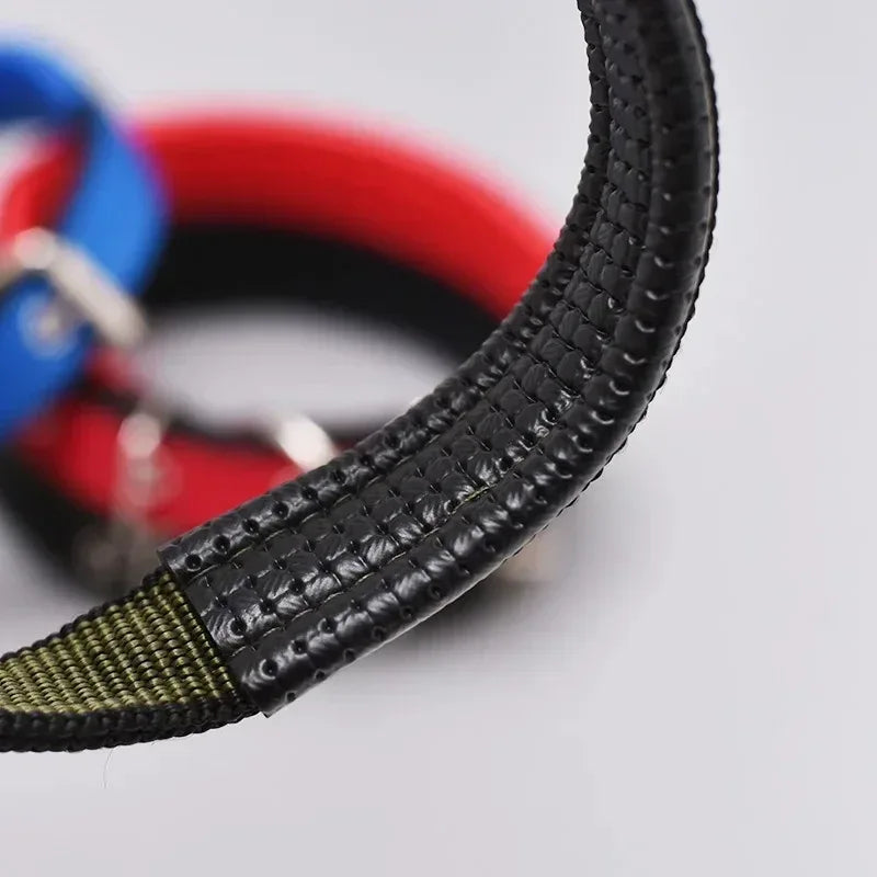 Verstelbare Halsband met Zachte Schuimvulling Duurzaam Nylon voor Comfort en Veelzijdigheid voor Honden en Katten - Ruffy