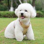 Kleine Honden Tuig Pastel Kleuren - Ruffy