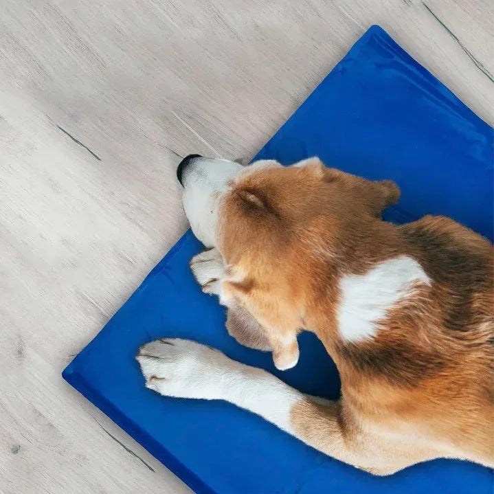 Drukgeactiveerde Koelmat voor Huisdieren Zelfopladend Draagbaar Lekvrij Veilig Beschikbaar in L XL - Ruffy