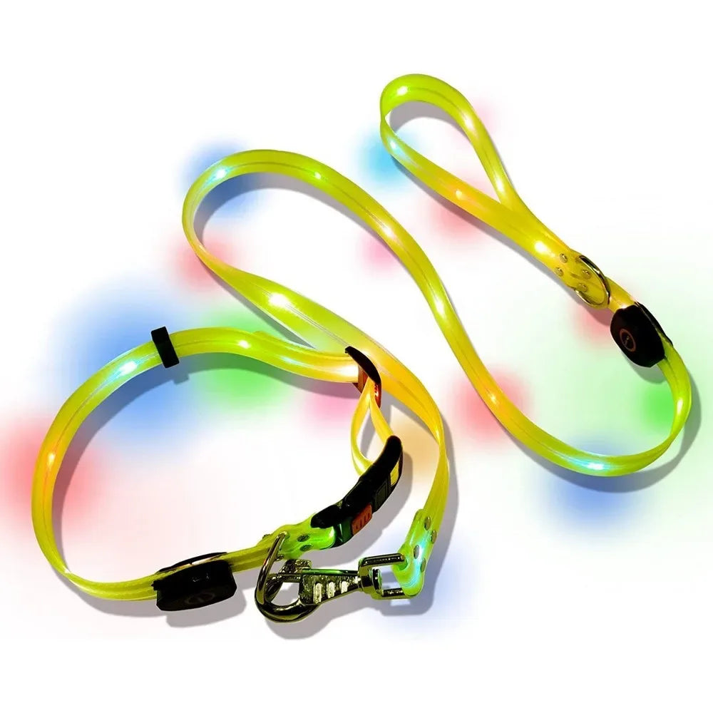 LED-Up Leash Verlichte Hondenriem USB Oplaadbaar Veilig Zichtbaar Duurzaam PVC Ergonomisch Handvat - Ruffy