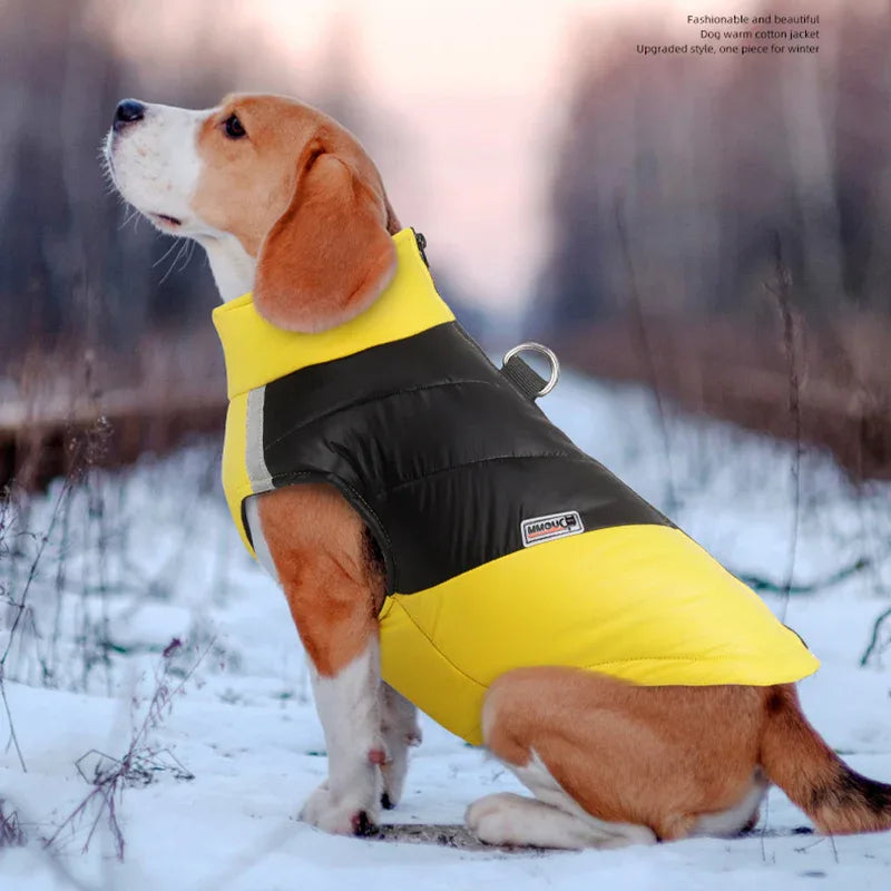 Hondenjas Warm Gewatteerd Waterdicht - Ruffy