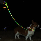 LED-Up Leash Verlichte Hondenriem USB Oplaadbaar Veilig Zichtbaar Duurzaam PVC Ergonomisch Handvat - Ruffy