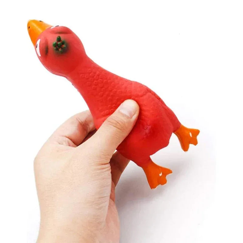 Veilig piepend hondenspeelgoed Rubber Kip 100% Natuurlijke Latex 16.8cm voor kleine rassen - Ruffy
