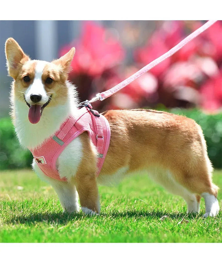Corduroy Ademend Honden Tuig Reflecterend Ergonomisch - Ruffy