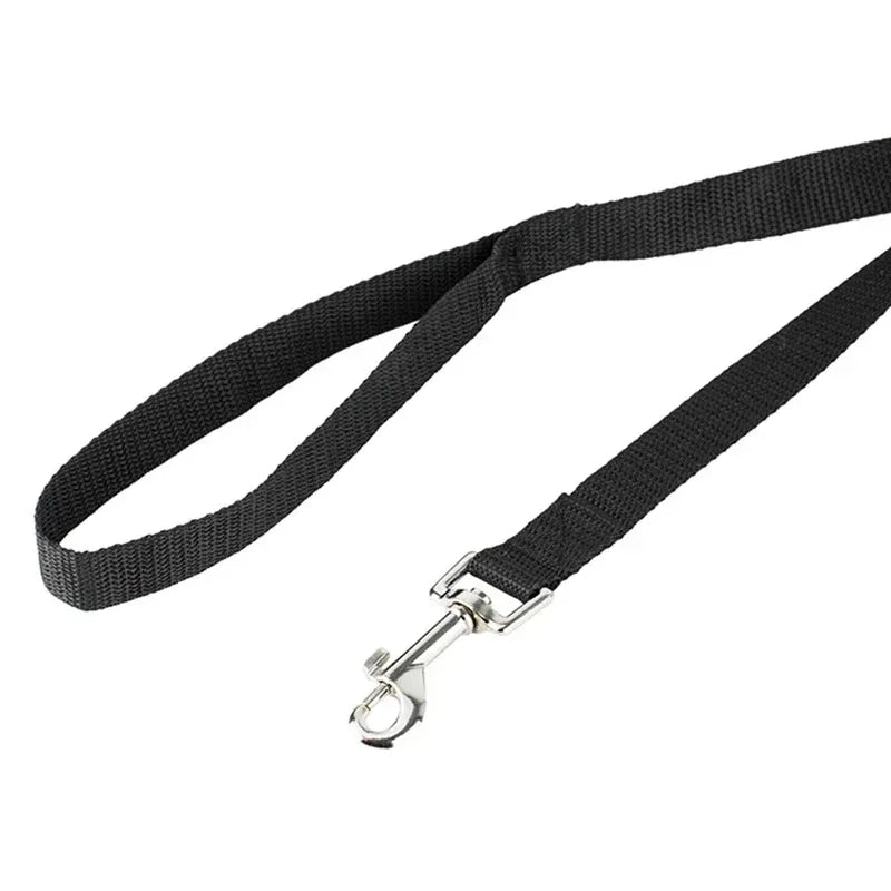 Duurzame Nylon Hondenriem met Sterke Greep Meerdere Lengteopties voor Kleine tot Grote Honden - Ruffy