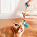 Hond Zuignap Traktatiespeeltje - Ruffy