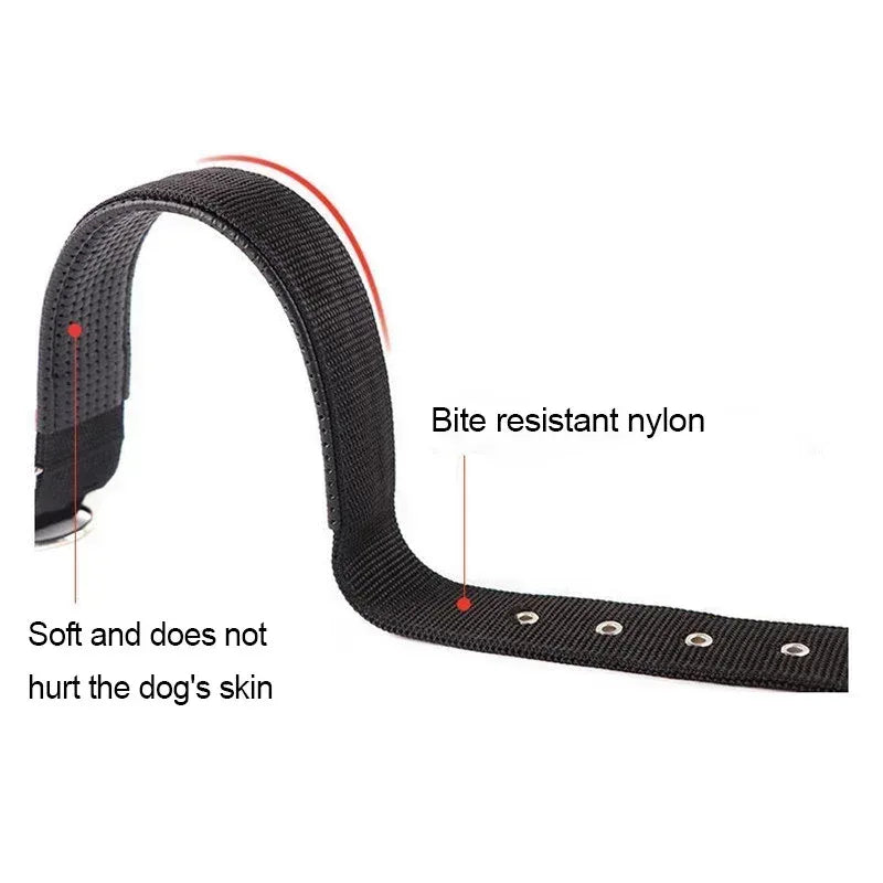 Verstelbare Halsband met Zachte Schuimvulling Duurzaam Nylon voor Comfort en Veelzijdigheid voor Honden en Katten - Ruffy