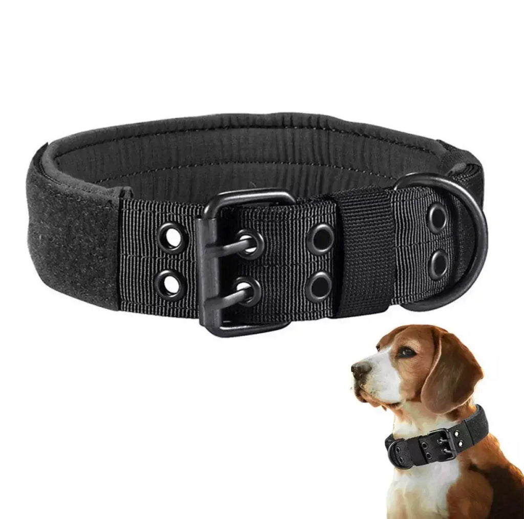 Duurzame verstelbare nylon halsband met gewatteerde binnenkant in stijlvolle kleuren - Ruffy
