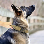 Duurzame nylon halsband met ontsnappingsfunctie Zacht gewatteerd Verstelbare maten M-XL - Ruffy
