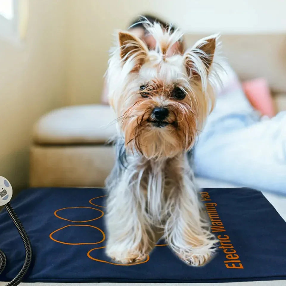 Elektrische Verwarmingsdeken voor Honden Veilig Zacht Duurzaam Geschikt voor Bedden en Kratten 60x45cm - Ruffy