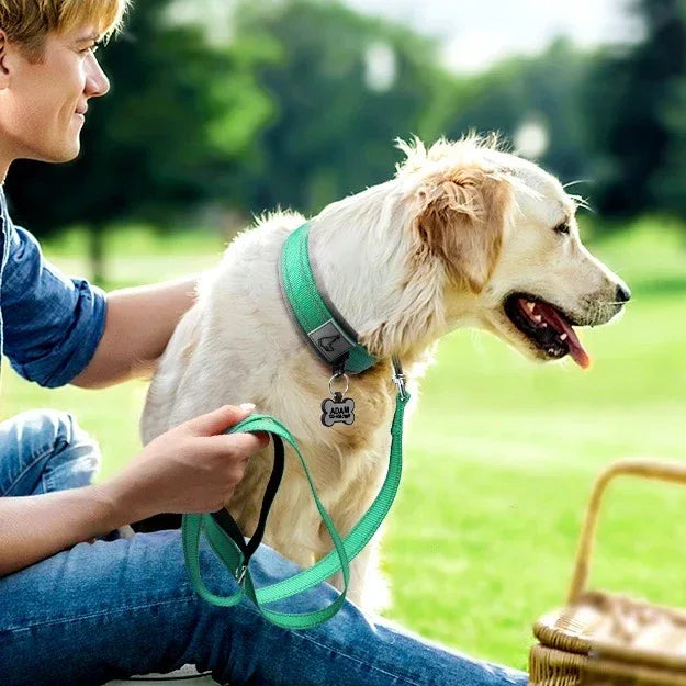 Neopreen Gevoerde Hondenhalsband extra Sterk En Reflecterend - Ruffy
